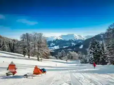 Skiing and sledding in the Alpbach moutains