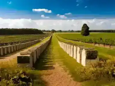 Rows of headstones at the Battlefields of Ypres