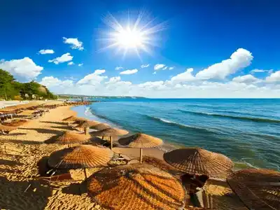 Sunny Beach deckchairs and straw umbrellas