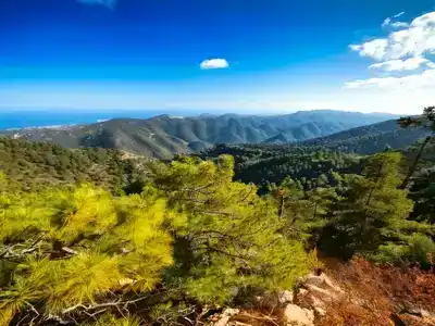 Tree covered Troodos mountains