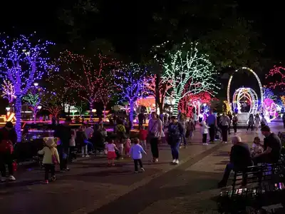 Families enjoying a colorful night in Karlovy Vary park.