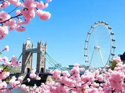 Spring in London with cherry blossoms and iconic landmarks.