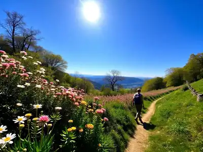 Person hiking in a sunny, blooming landscape in April.