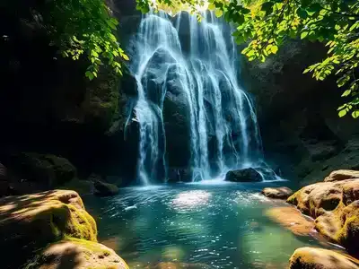 A hidden waterfall surrounded by lush green foliage.