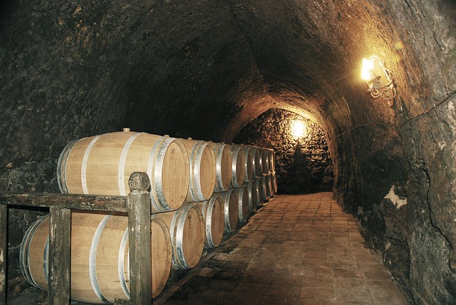 Barrels of wine in the caves of Cricova Winery