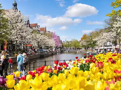 Families and couples enjoying seasonal activities in Amsterdam with tulips in the foreground.