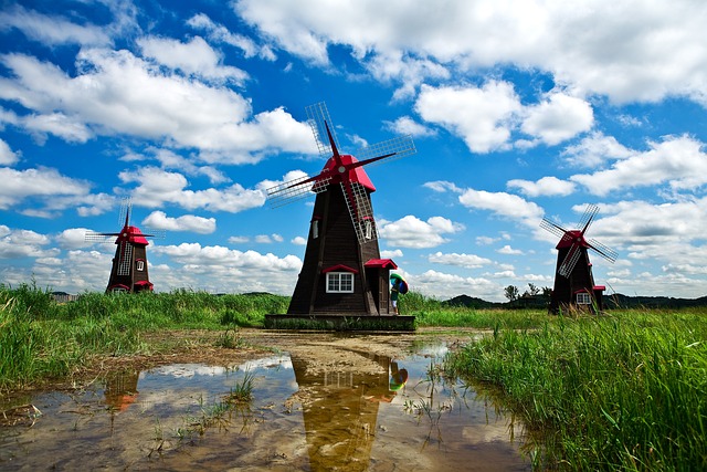 Three windmills in a field