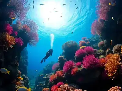 Scuba diver among colorful coral and fish underwater.